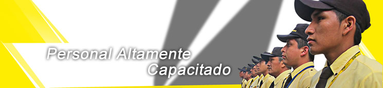 Coche 07